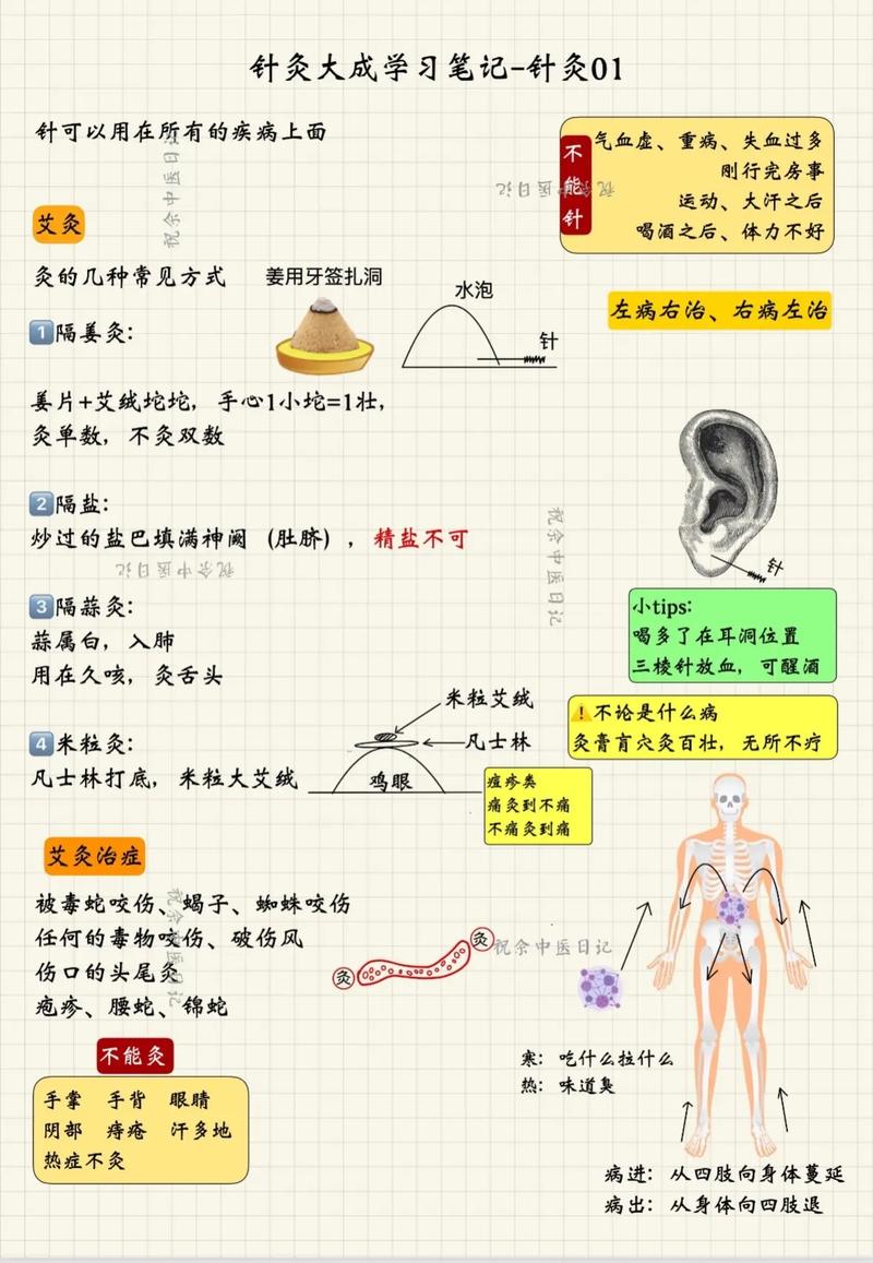 针灸大成价值多少钱