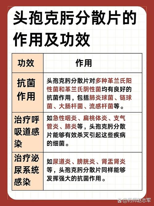 头孢硫脒一天安全用量