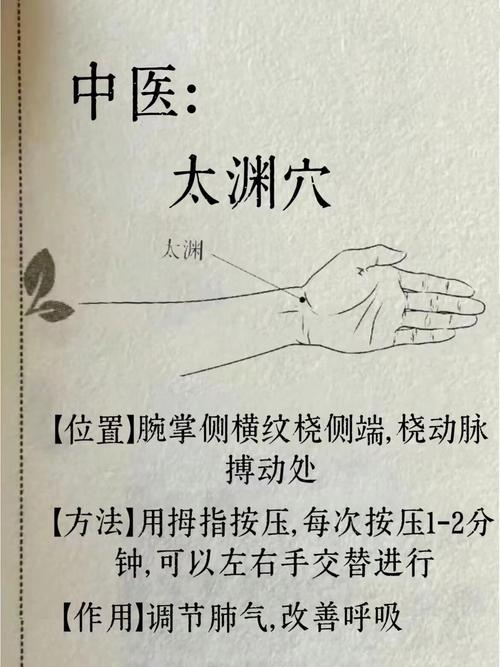 针灸能治疗打呼噜吗
