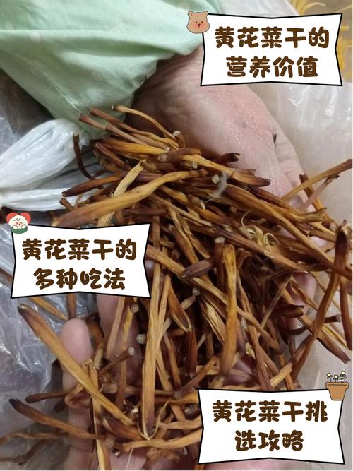 痛风能吃干黄花菜吗