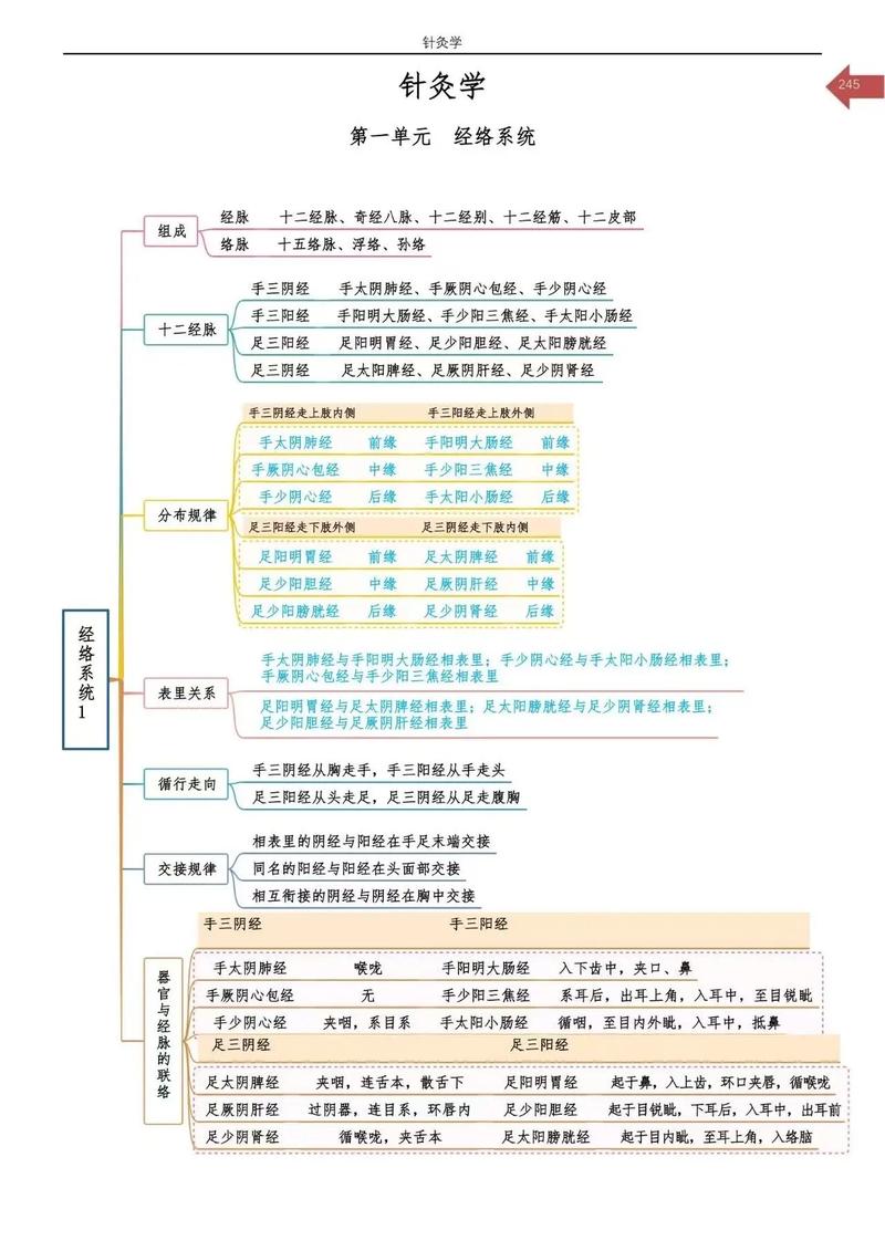 中医针灸学重点笔记