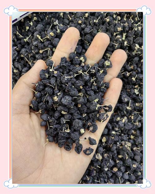 黑枸杞对痛风有用吗