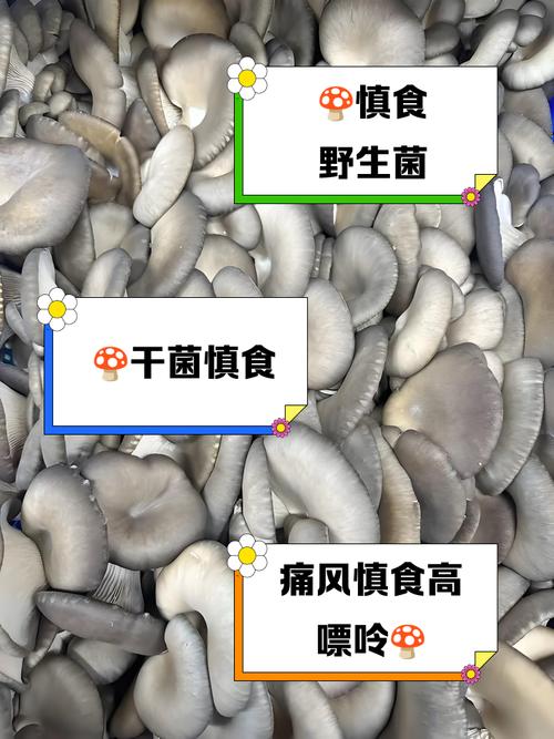 痛风病人可吃香菇吗