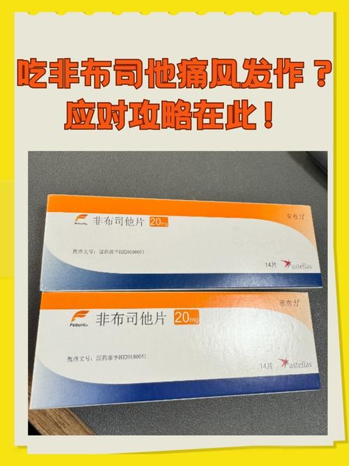 痛风不能吃什么药物