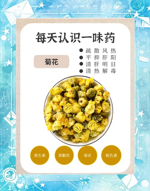 痛风可以喝菊花茶么