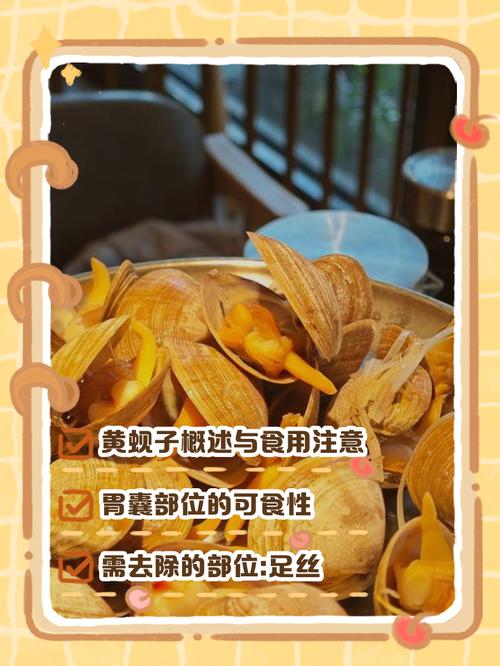 痛风可以吃黄蚬子吗