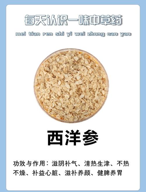 痛风可以喝西洋参吗