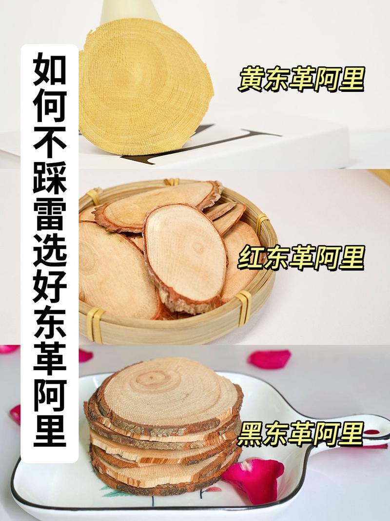 痛风能吃东革阿里吗