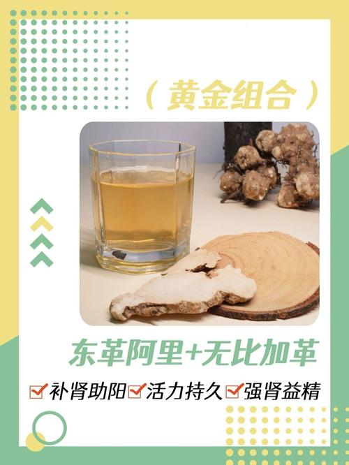 痛风能吃东革阿里吗