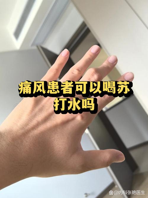 痛风喝什么苏打水好