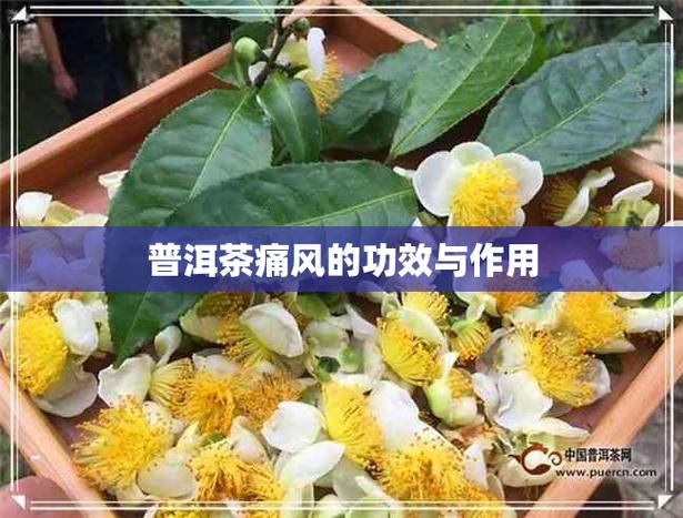 普洱茶能治疗痛风吗