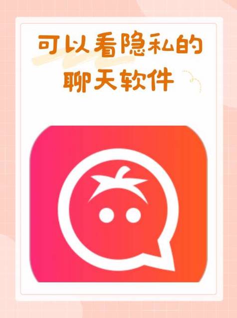 两人安全私密聊天软件