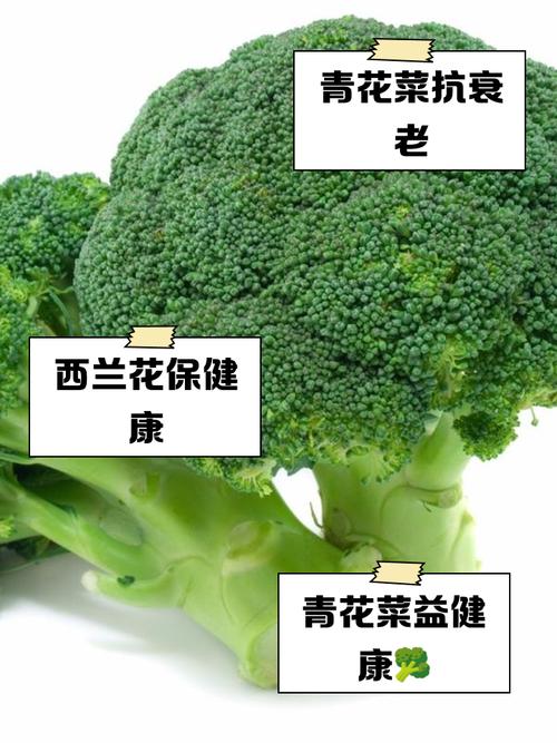 痛风病人能吃菜花吗