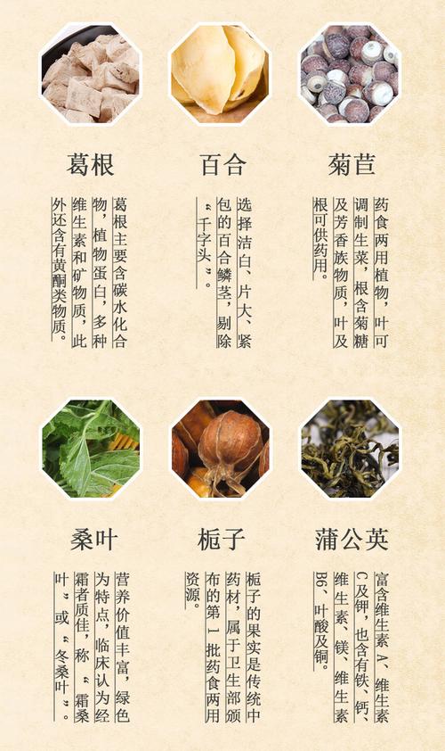 菊苣根茶能治痛风吗