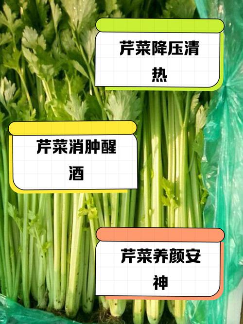 痛风病人能吃西芹吗