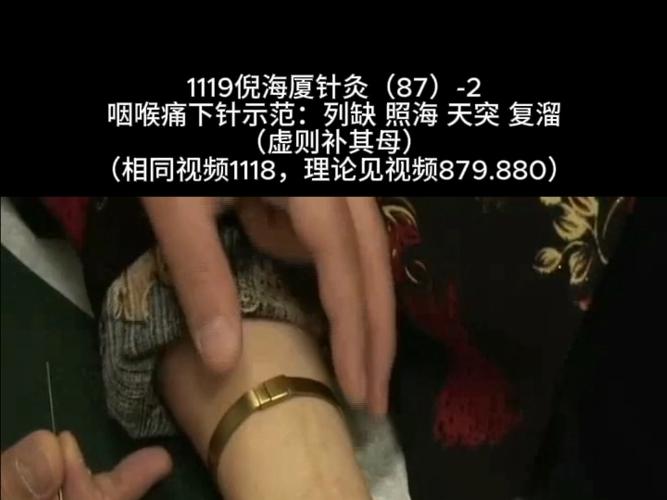 倪海厦针灸视频31