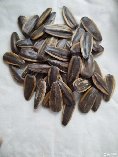 山核桃味的瓜子安全吗