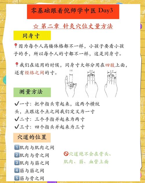 针灸减肥用几寸的针