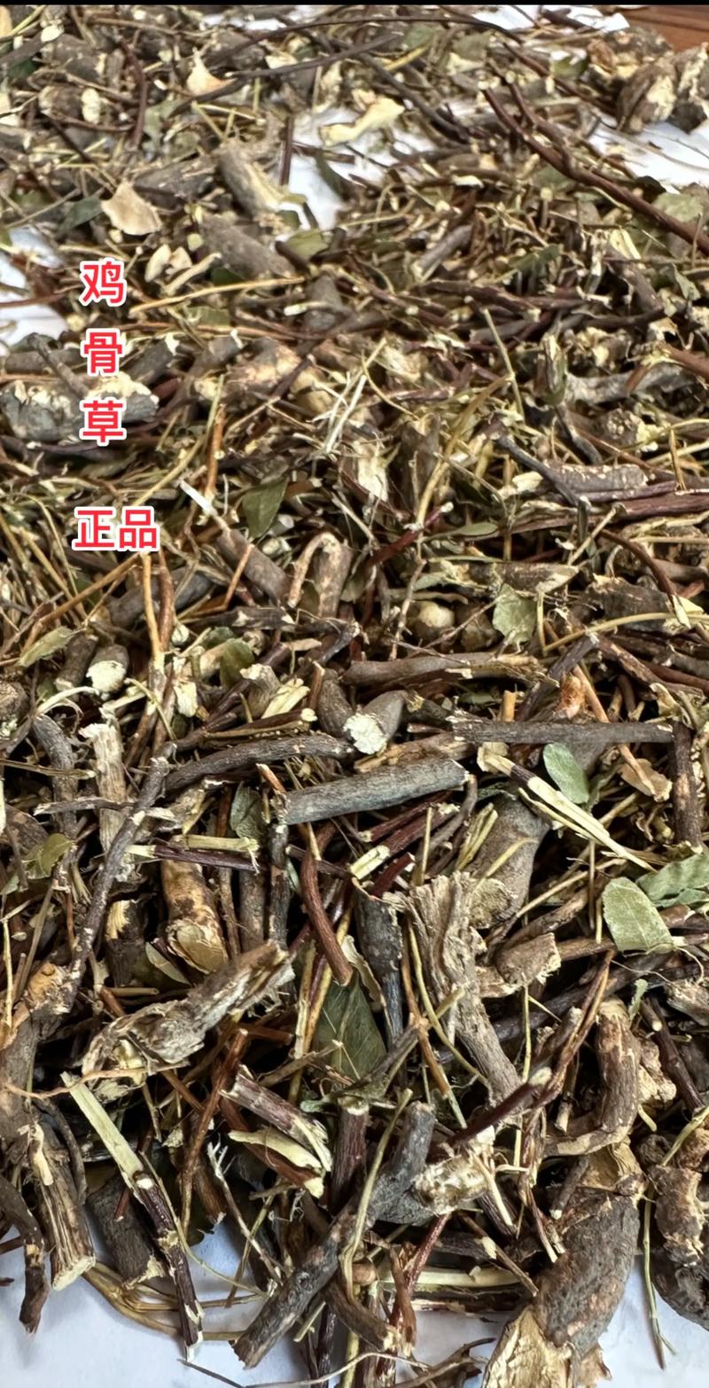 痛风可以喝鸡骨草吗