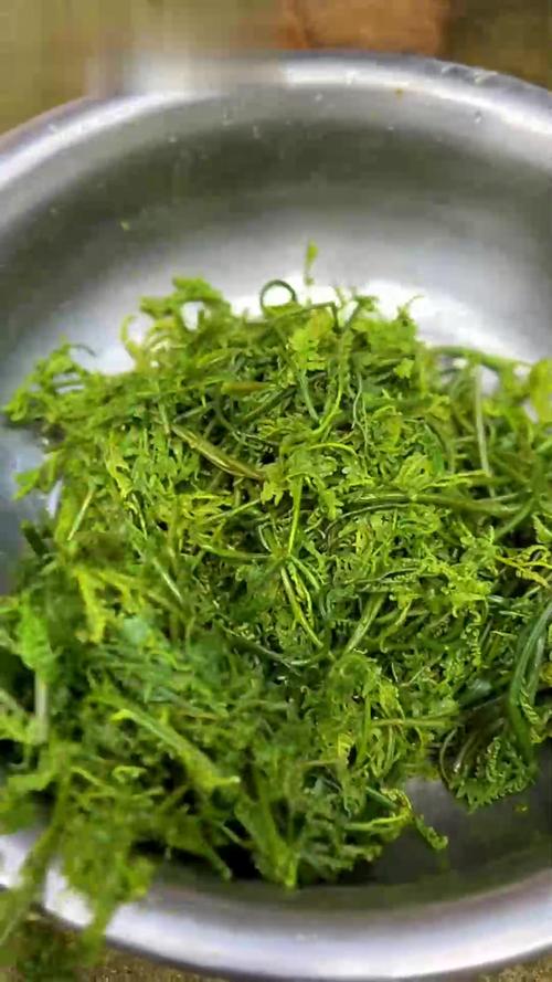 痛风可以吃龙爪菜吗