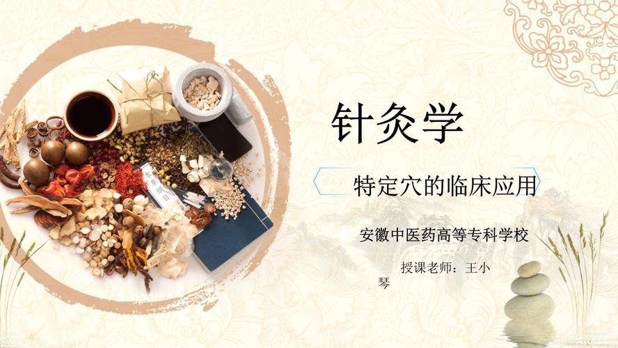 针灸学免费教学视频