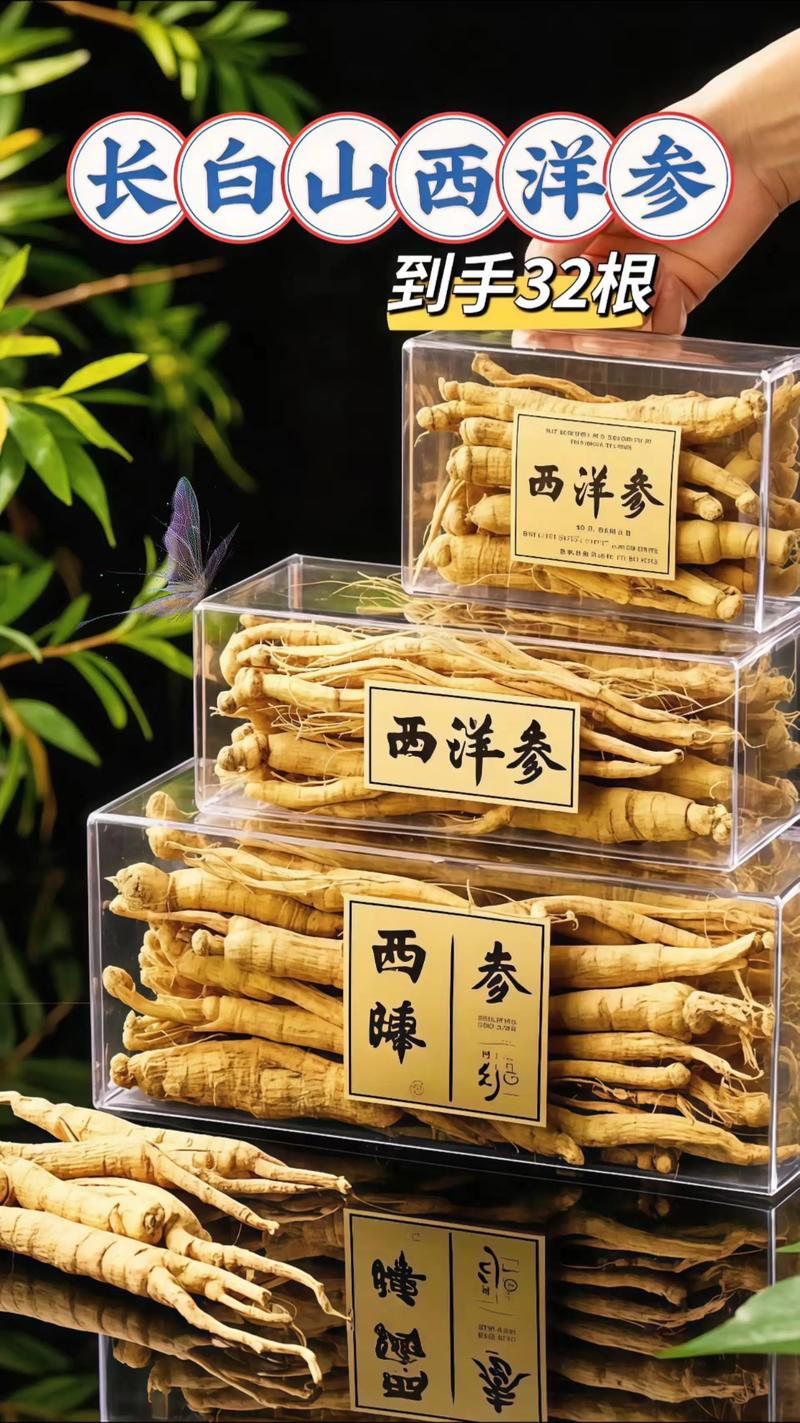 痛风可以吃西洋参么