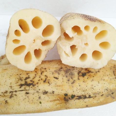 痛风病人可以吃藕吗