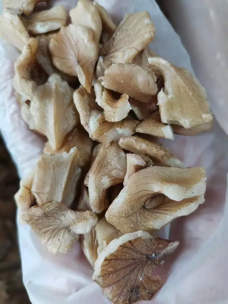 核桃仁痛风可以吃吗