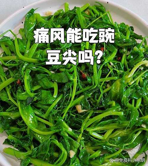 痛风可以吃地瓜粉吗