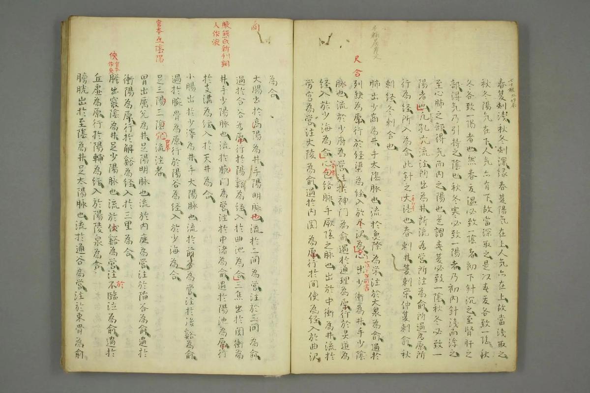 修氏针灸全书 下载