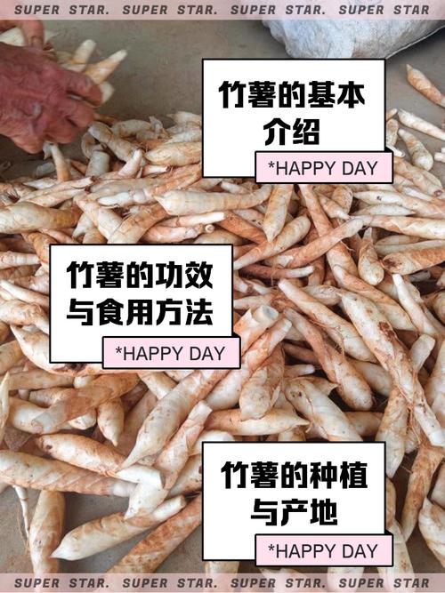 竹芋粉痛风可以吃吗