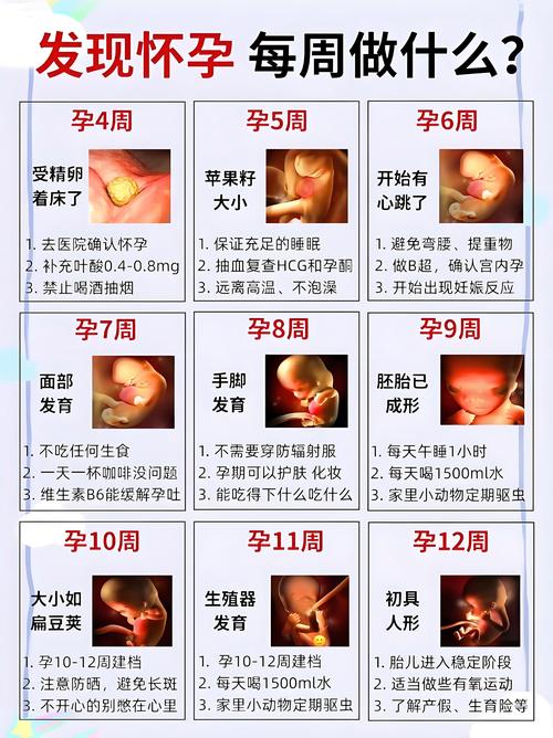 安全期怀孕几率准确数