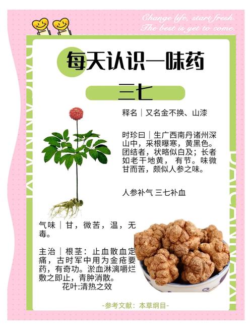 三七治疗痛风有用吗