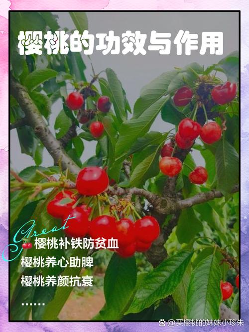 樱桃对痛风有好处吗