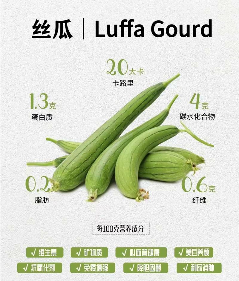 痛风病人能吃丝瓜吗