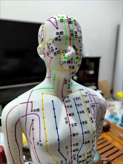 针灸穴位pdf下载
