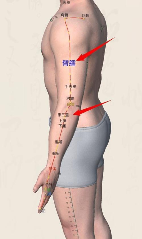 甲状腺针灸哪些穴位